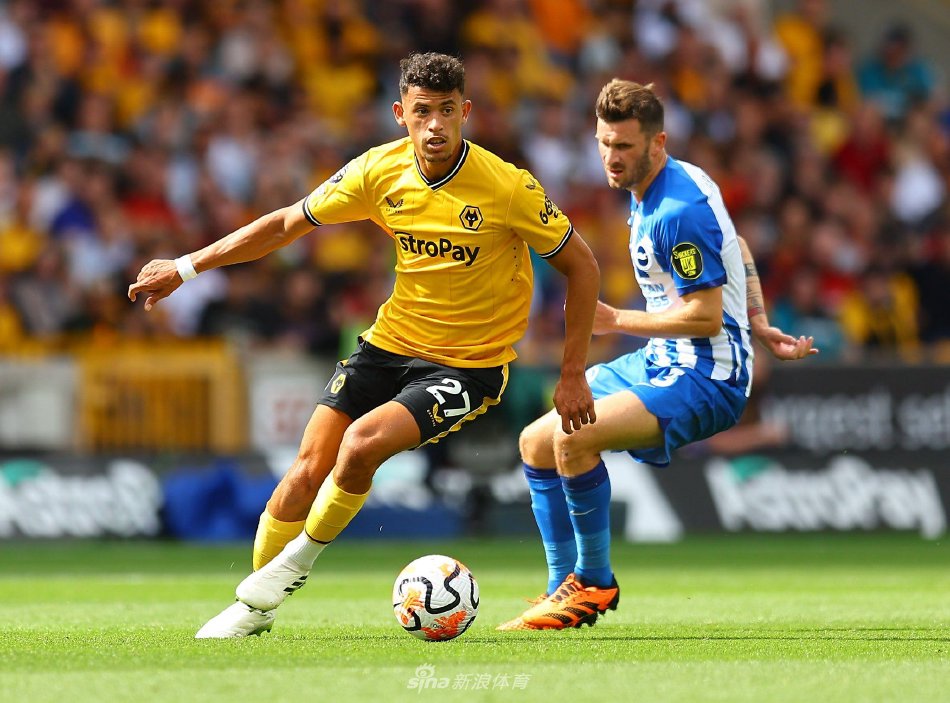 阵容与策略 阵容与策略